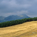 RO2004-H134