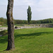 AT2005-006