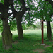 AT2005-016