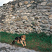 RO2005-007