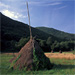 RO2005-028