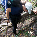 RO2005-029