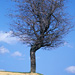 RO2005-031