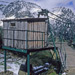 PL2007-011