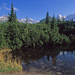 PL2007-041