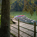 RO2008-F002