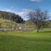 RO2008-F012