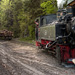 RO2008-F045