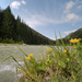 RO2008-F050