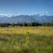 RO2008-F075