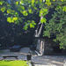 PL2010-H036