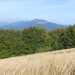 PL2014-040
