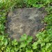 PL2014-083