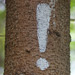 PL2014-093