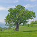 RS2014-058