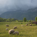 BALKAN2015-0067