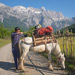 BALKAN2015-0184