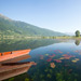 BALKAN2015-0389
